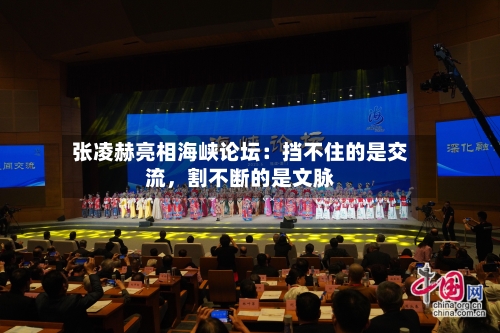 张凌赫亮相海峡论坛：挡不住的是交流，割不断的是文脉-第3张图片