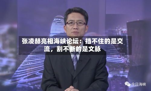 张凌赫亮相海峡论坛：挡不住的是交流	，割不断的是文脉-第2张图片